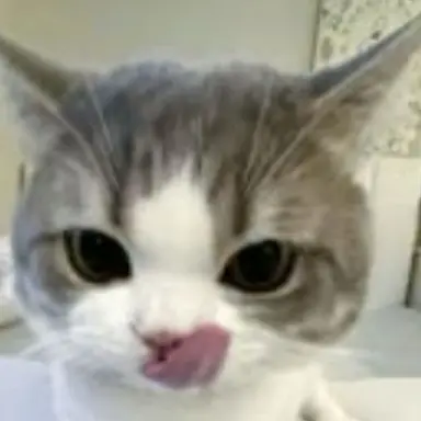 Profile image of 먕먕