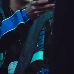 금성제