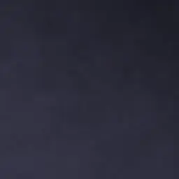 Profile image of 돼지