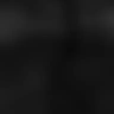 Profile image of 권민식