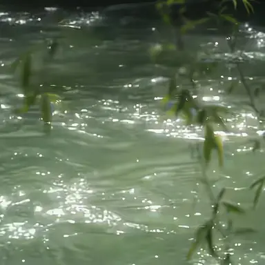 Profile image of 공룡