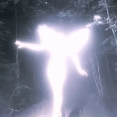 Profile image of 신지