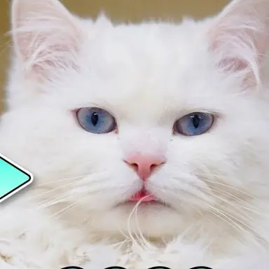 Profile image of 크림