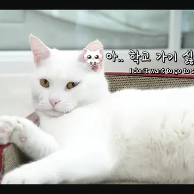 Profile image of 우유