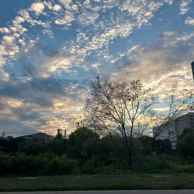 Profile image of 이도현