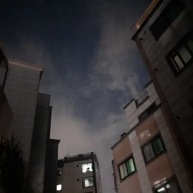 Profile image of 은월