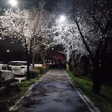 Profile image of 준우