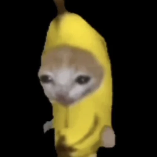 바나나캣