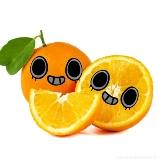 거인쉘리