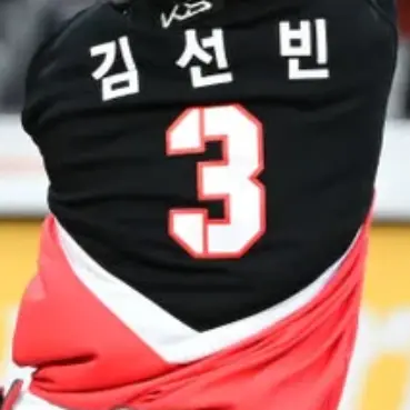 Profile image of 김선빈