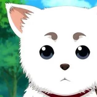 Profile image of 사다하루