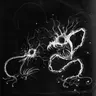 Profile image of 릭 그레이브스