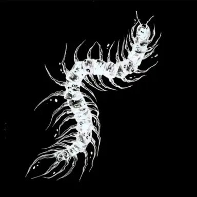 Profile image of 백무진