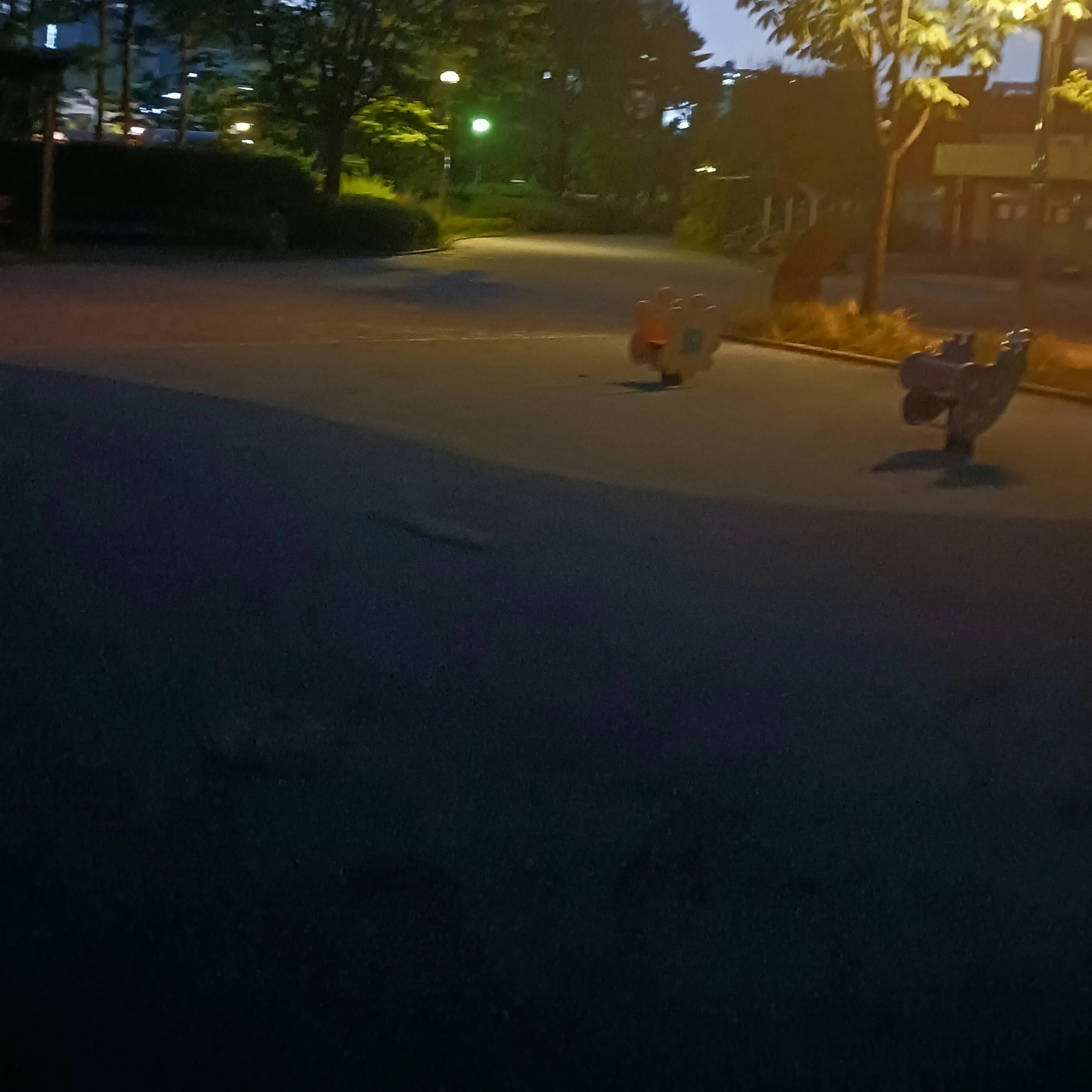 백룸
