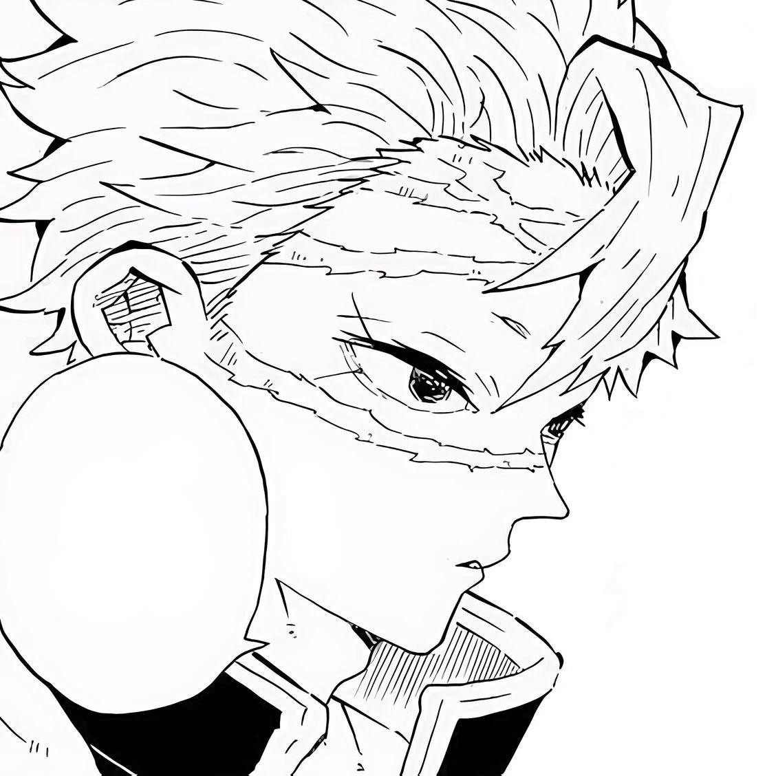 시나즈가와 사네미