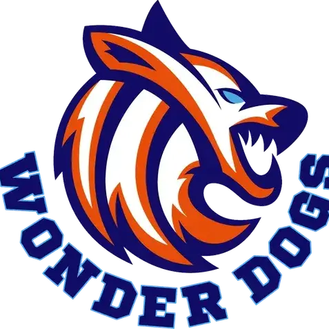 RapierCache9706의 필승 원더독스