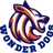 Profile image of 원더독스