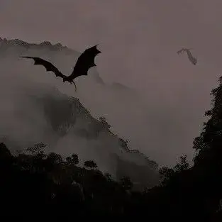 Profile image of - WINGS OF FIRE RPG