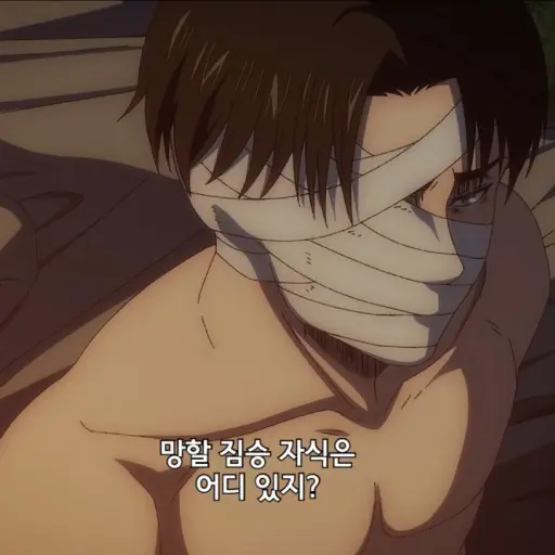 SkinnySuit0026의 리바이 아커만
