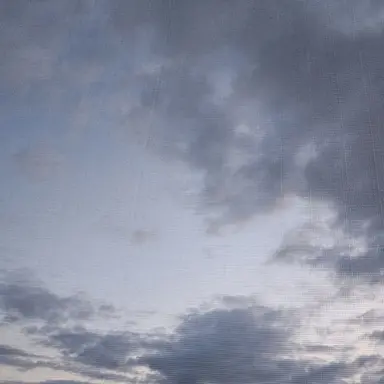 Profile image of 꽥꽥탐험대 얀데레