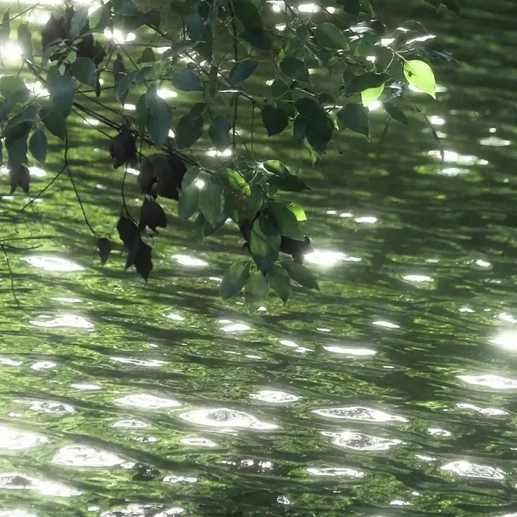 life_insurance의 공룡