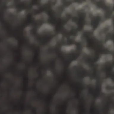 Profile image of Matt
