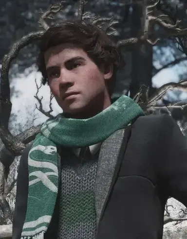 Profile image of Sebastian