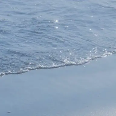 Profile image of 에이티즈