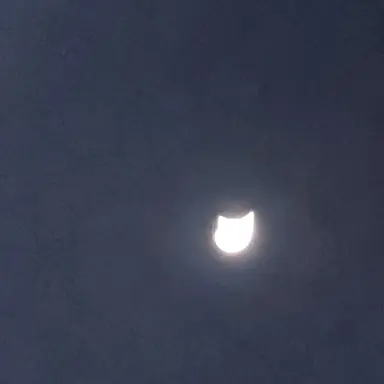 Profile image of 이다메