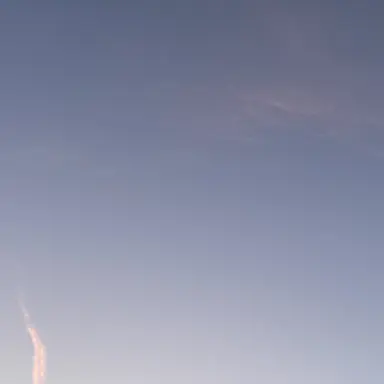 Profile image of アピ子