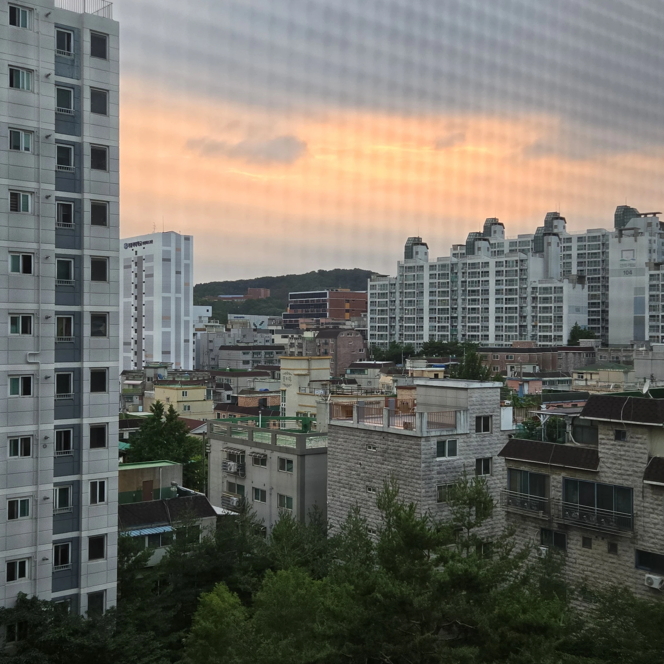 재현