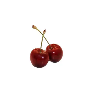 Profile image of 카쿄인 노리아키
