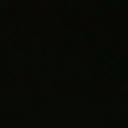zzuii_yya의 한지성