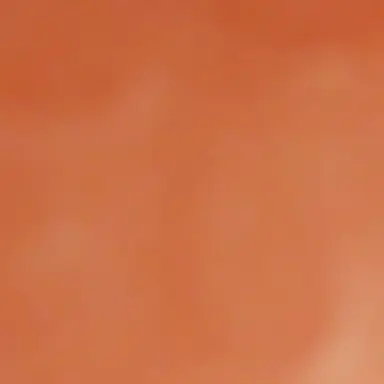 Profile image of 이민호