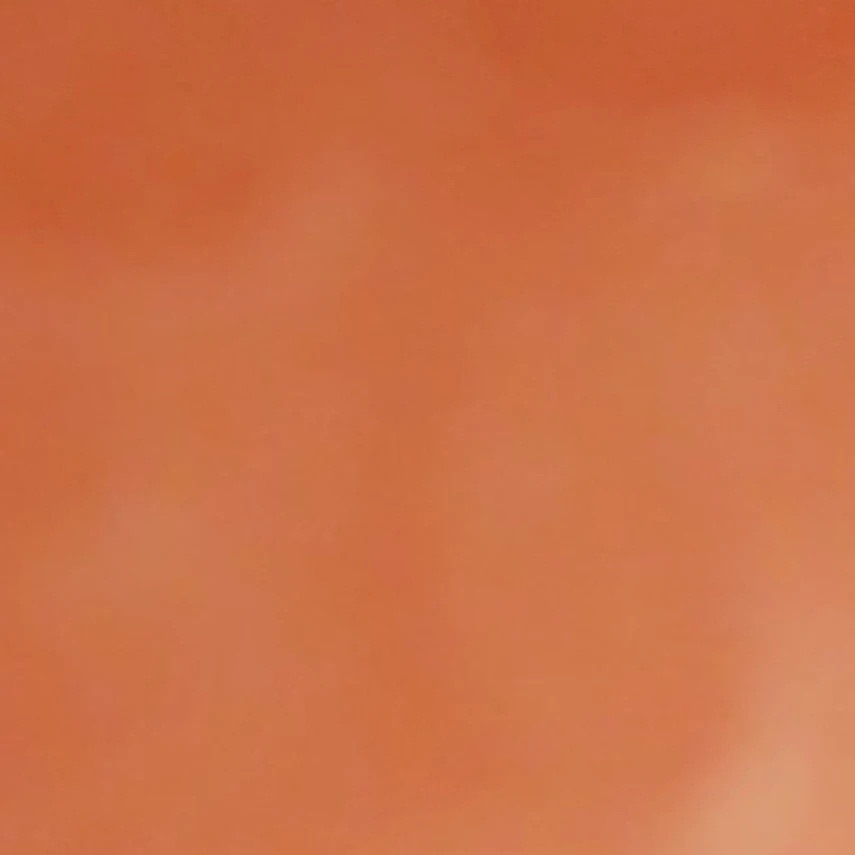 이민호