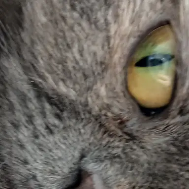 Profile image of 이수현