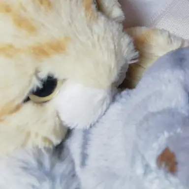 Profile image of 春菜