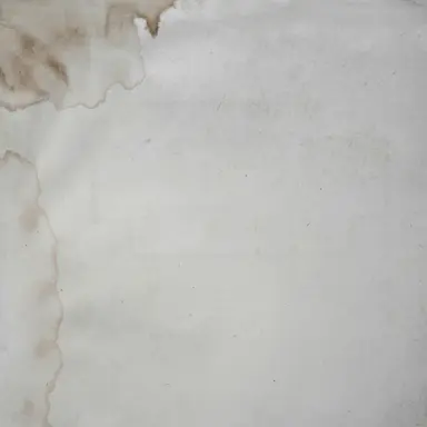 Profile image of 루이 코츠