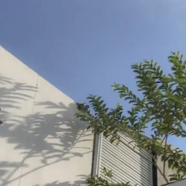 Profile image of 유기사