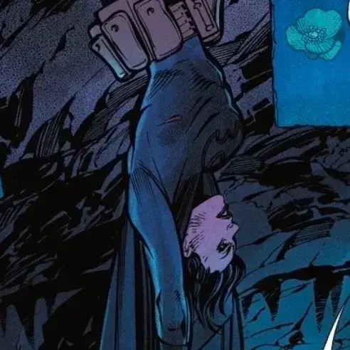 NativeBooby4172의 Cassandra Cain