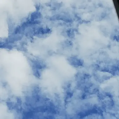 Profile image of Snow Man
