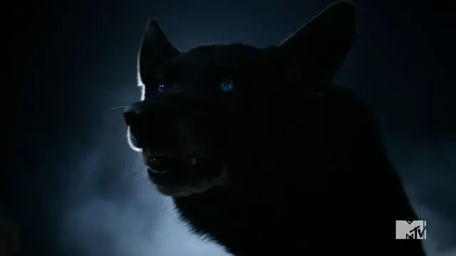 Profile image of Derek