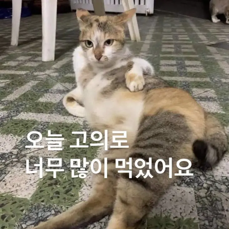 Princess_yeonu의 여뉴