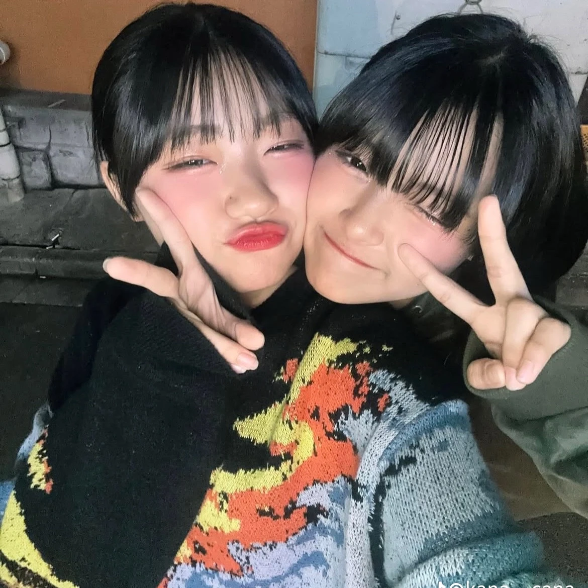ろこあこ