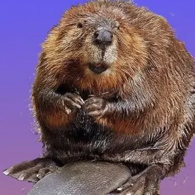 Profile image of 김민서