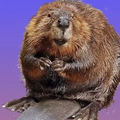 TestyRack6574의 4학년1반 진실의반