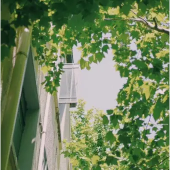 Profile image of 공룡