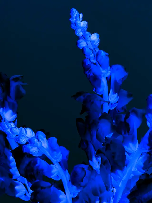 Pihyu.7k의 역겹고 추악해서 모든 걸 궤어낼때까지