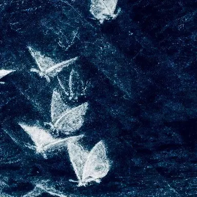 Profile image of trapped