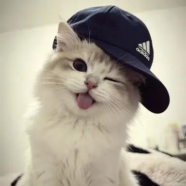 Profile image of 김산하